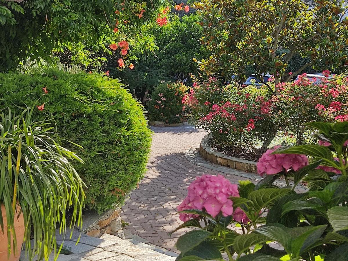 Suite Roxanne Sanremo Dış mekan fotoğraf